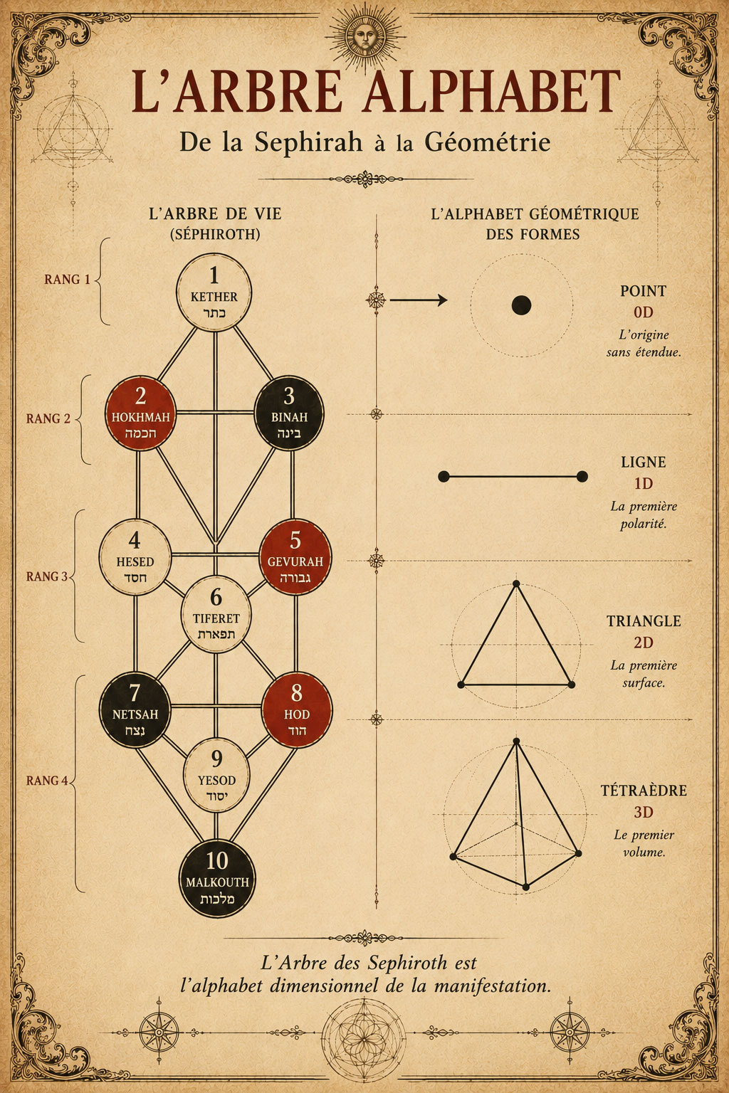 L'Arbre des Séphiroth et l'alphabet géométrique — les 22 lettres et leurs figures