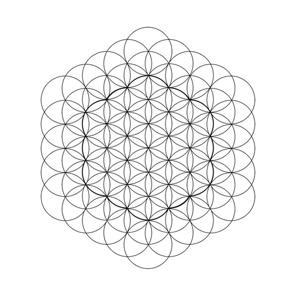 Le cœur de la Fleur de Vie