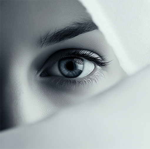L'œil — les Yeux, instrument de l'Esprit