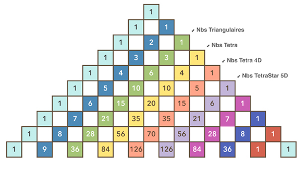Le triangle de Pascal et l'hyperdimension